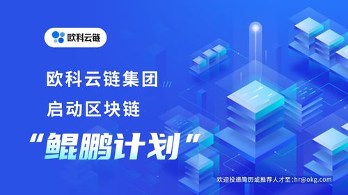 欧科云链2020秋季校园招聘职位同比暴涨500